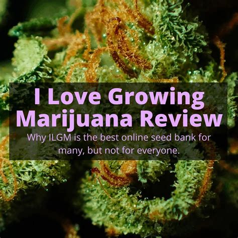 i love growing marijuana seed bank.